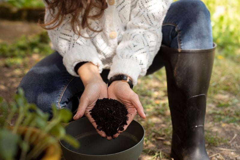 Sustainable DIY